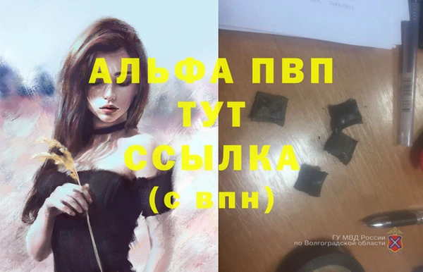 СК Богданович